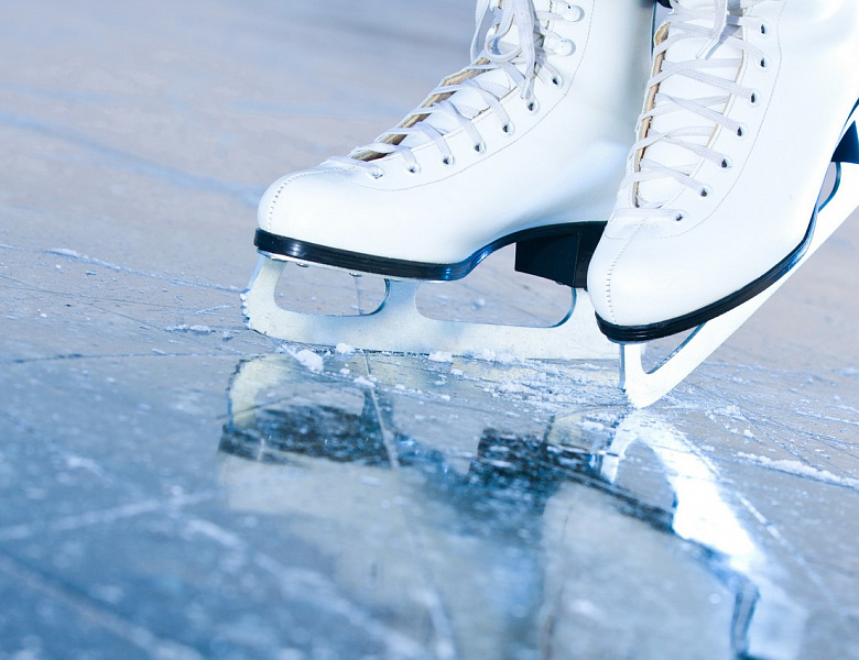 Первенство Нижегородской области по виду спорта фигурное катание на коньках